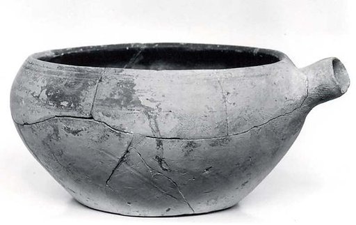 Bowl with spout
