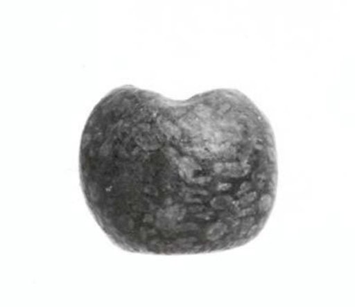 Bead