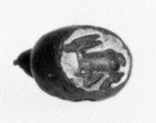 Stamp seal