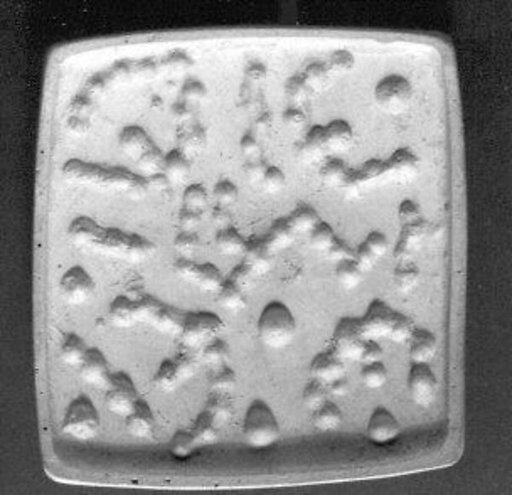 Drilled cushion-rectangular plaque seal