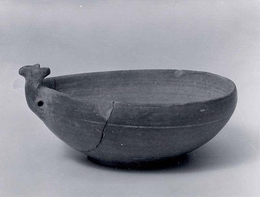Dish