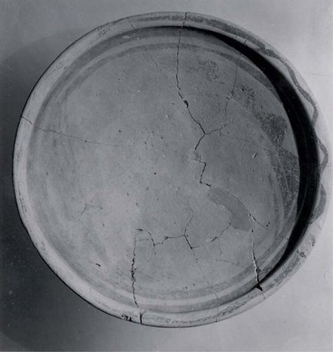Dish