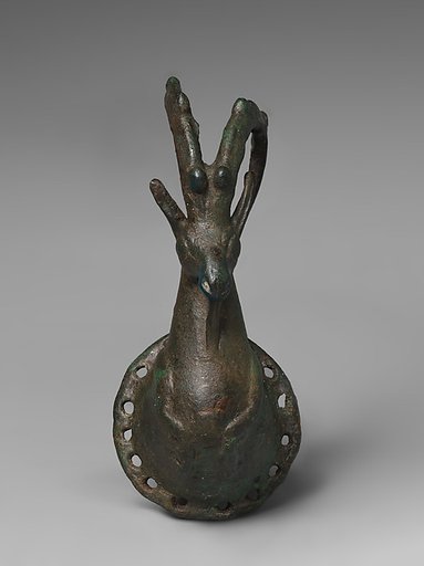 Forepart of an ibex