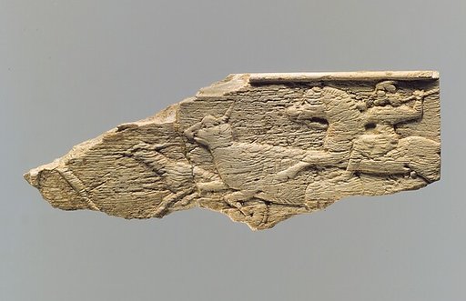 Panel fragment