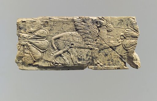 Panel fragment