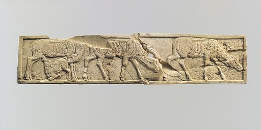 Panel