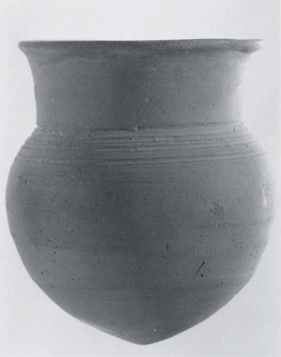 Palace Ware cup