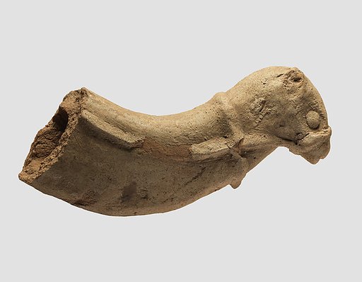 Head and neck of camel