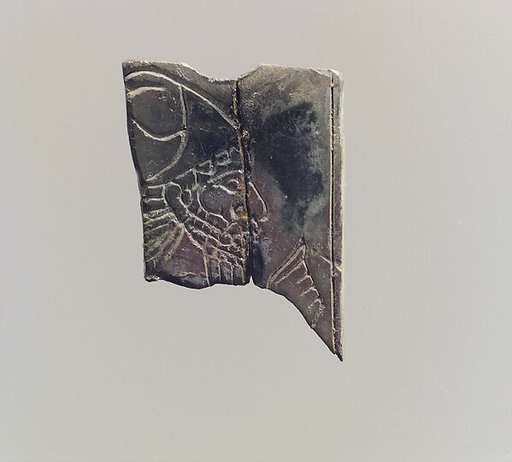 Plaque fragment