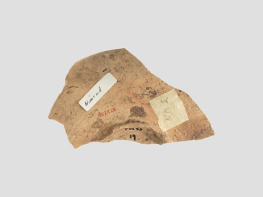Bowl sherd