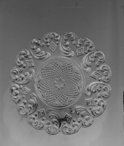Dish