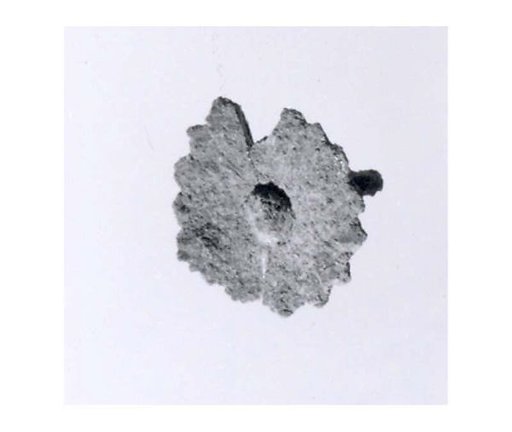 Rosette