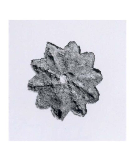 Rosette