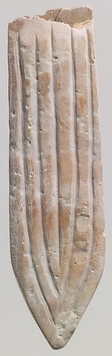 Shell fragment