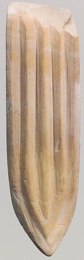 Shell fragment