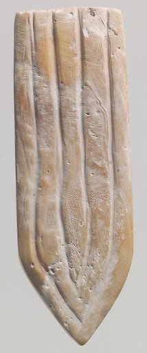 Shell fragment
