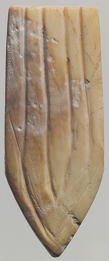 Shell fragment