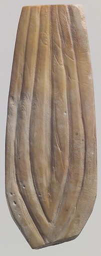 Shell fragment