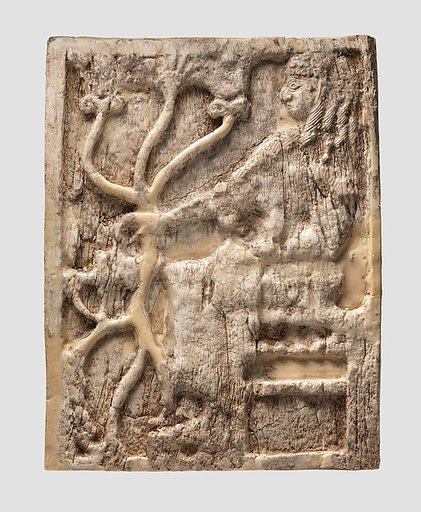 Panel