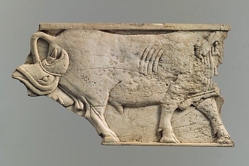 Plaque fragment