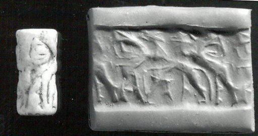 Cylinder seal