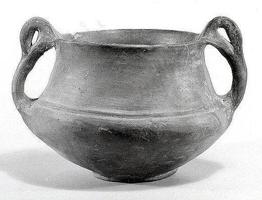 Bowl with handles