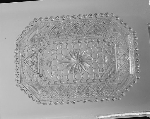 Dish