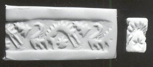 Cylinder seal with geometric design