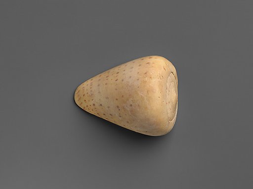 Shell