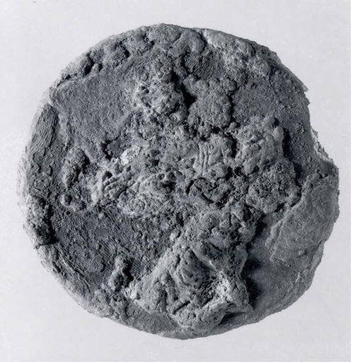 Dish