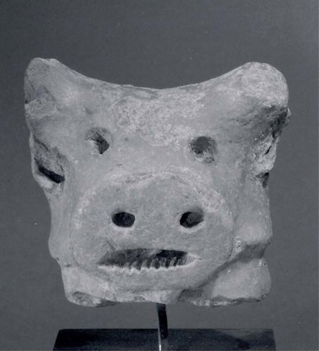 Head of bull
