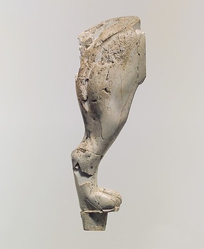Furniture support carved in the round with a lion's hind leg