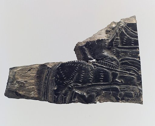 Plaque fragment