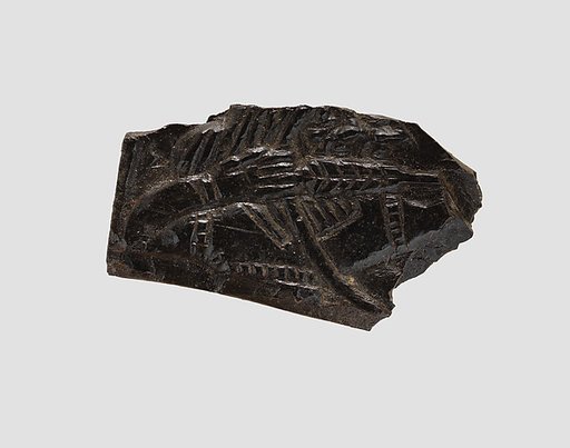 Plaque fragment