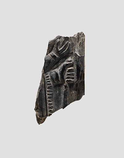 Plaque fragment