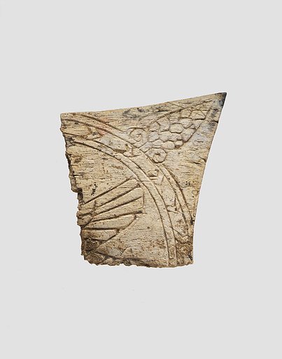 Plaque fragment