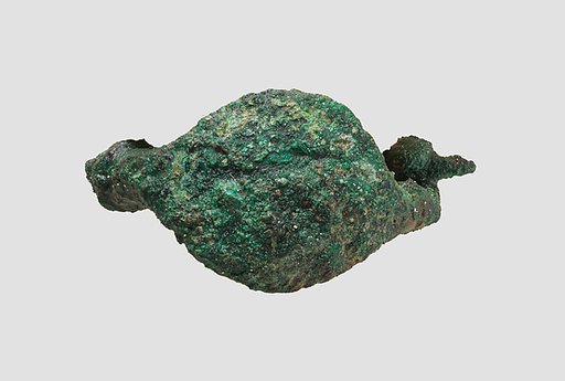 Fibula