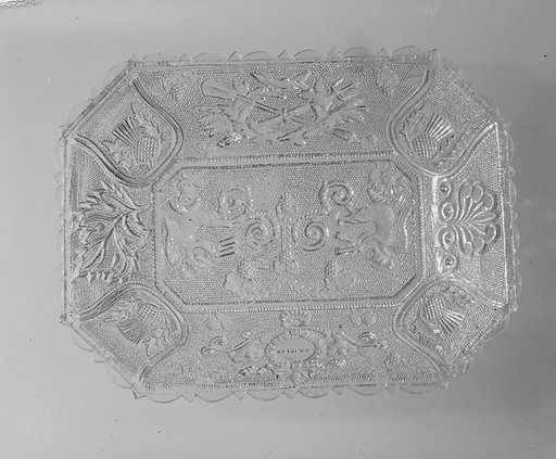 Dish