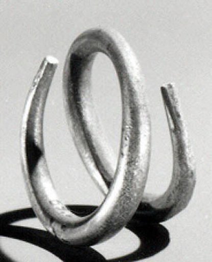 Coil