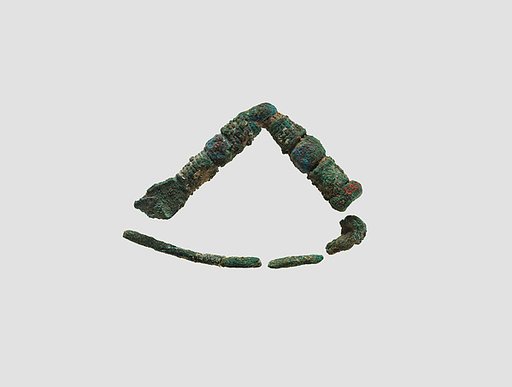 Fibula