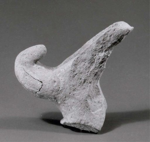 Beak spout