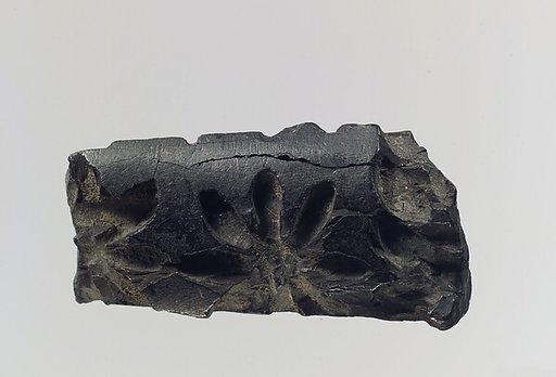 Ivory fragment