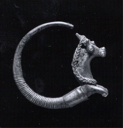 Earring