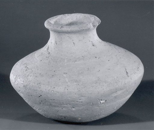 Bottle
