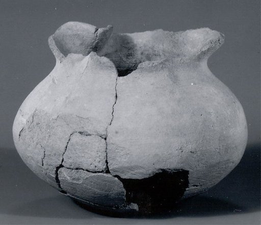 Jug