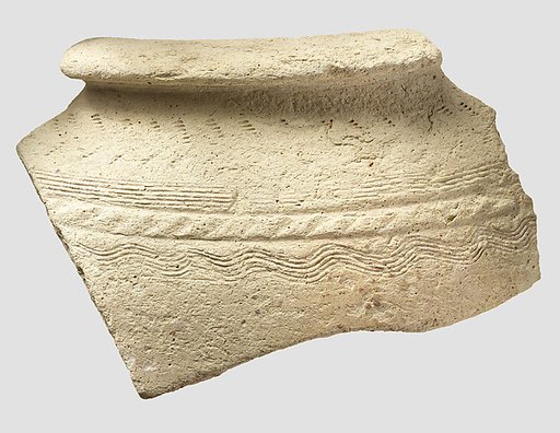 Jar rim sherd