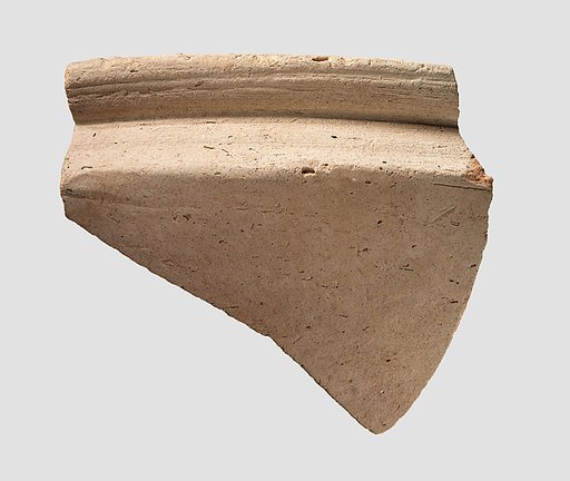 Bowl rim sherd