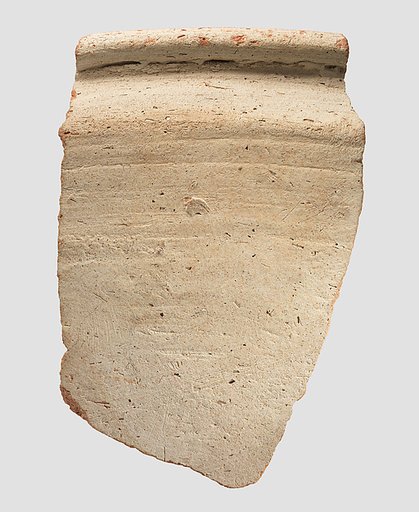 Bowl rim sherd