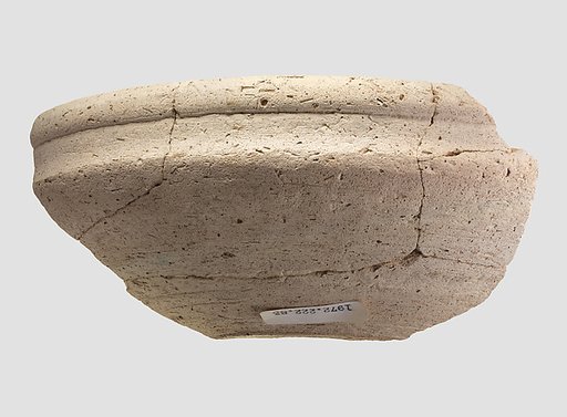 Bowl rim sherd