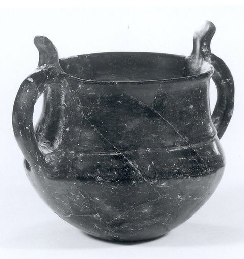 Pot